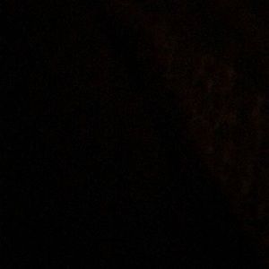 Meet your Posher, Jade